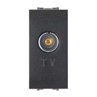 Presa TV femmina passante...