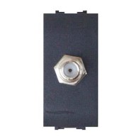 Presa TV femmina F...