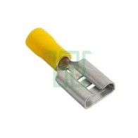 Capicorda innesto femmina...