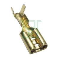 Capicorda innesto femmina...