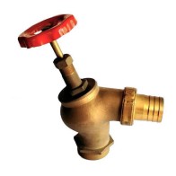 Immagine del prodotto