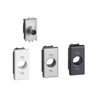 Presa TV femmina F...