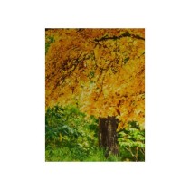 Adesivo acrilico millechiodi Pattex cartuccia 400 ml