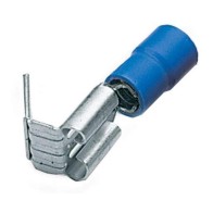 Capicorda innesto...